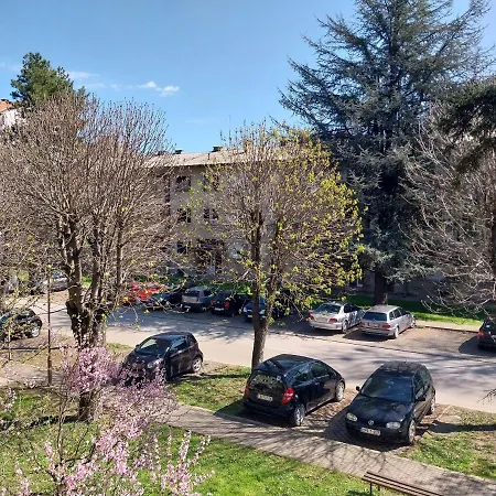 Sofronic 1 Apartament