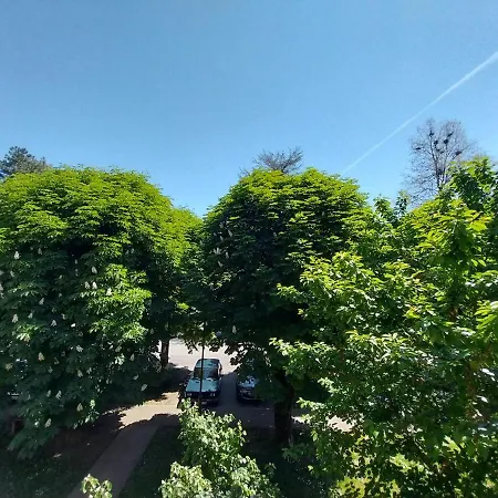 Sofronic 1 Lejlighed *