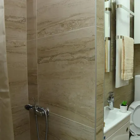 Sofronic 1 Apartament *