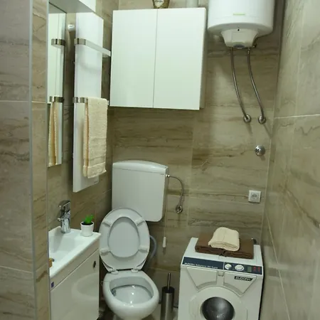 Apartament Sofronic 1 *