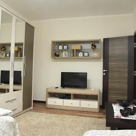Апартаменты Sofronic 1 *