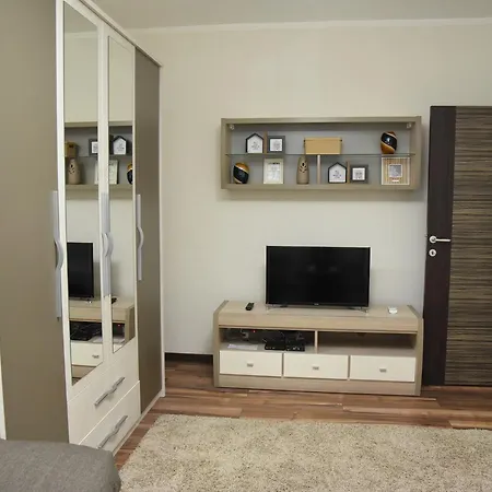 Sofronic 1 Apartament Loznica