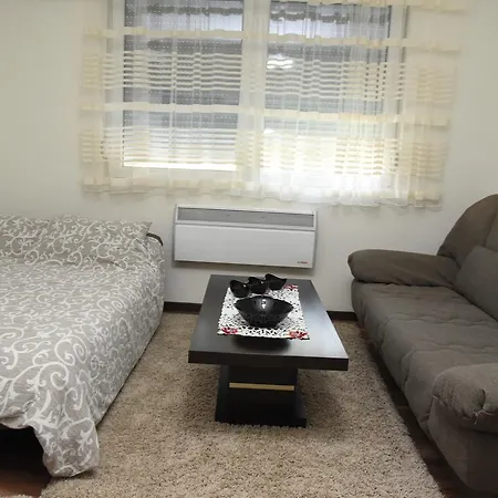 Apartament Sofronic 1 *