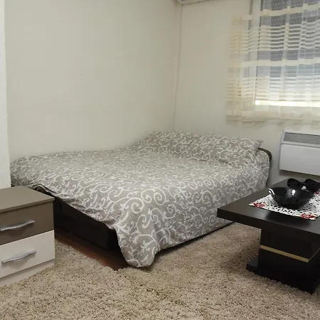 Sofronic 1 Apartament