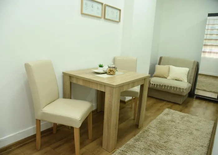 Sofronic 1 Apartament *