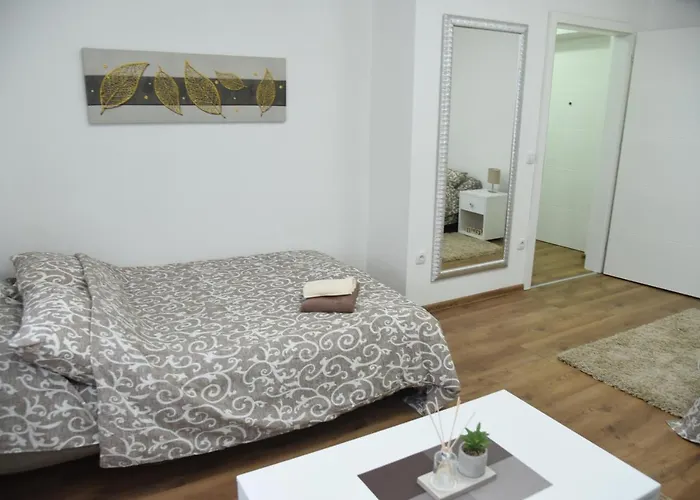 Apartament Sofronic 1 *