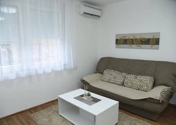 Sofronic 1 לוזניצה