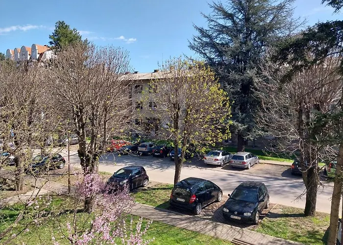 Sofronic 1 Apartament