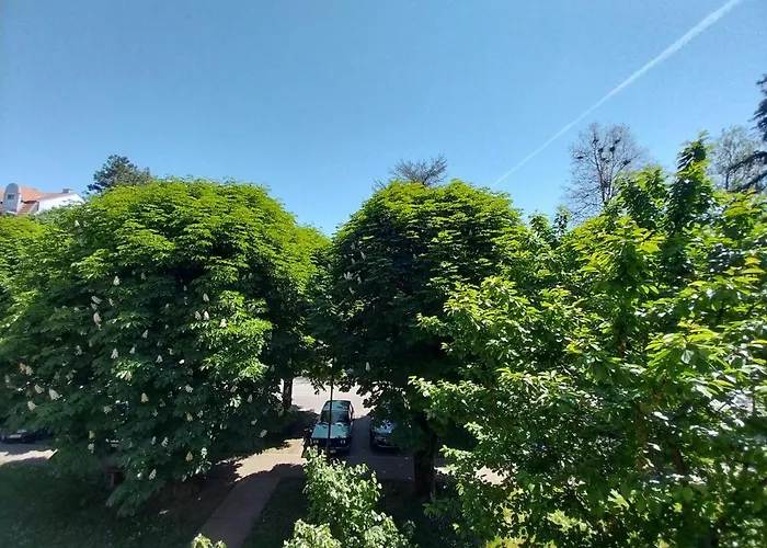 Sofronic 1 Apartament *