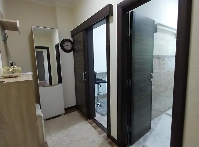 Sofronic 1 Apartament *