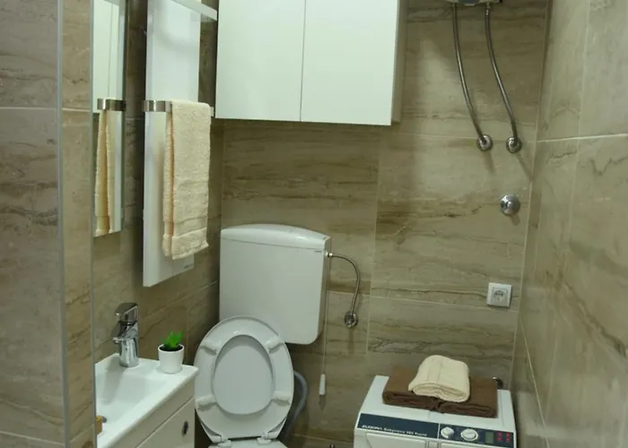 Apartament Sofronic 1 *