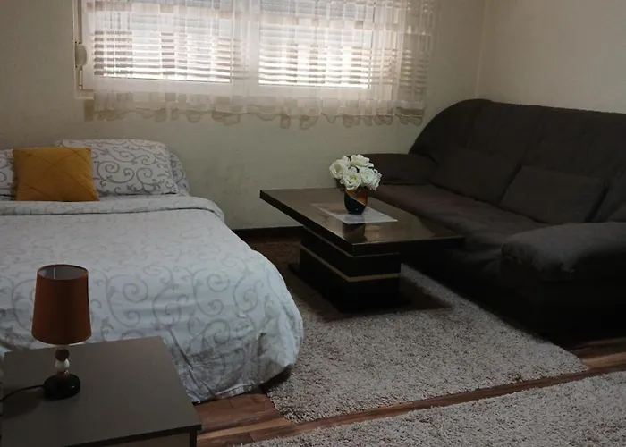 Sofronic 1 לוזניצה