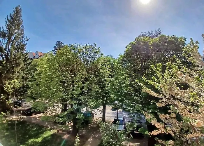 Sofronic 1 דירה *