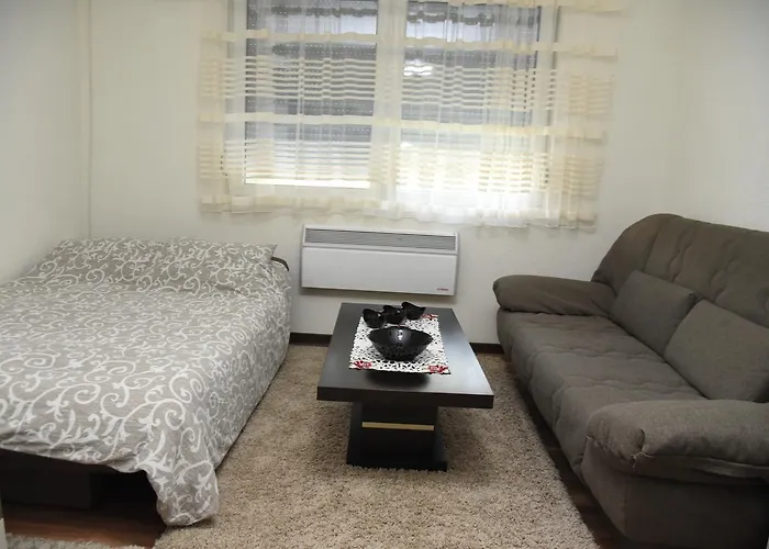 Apartament Sofronic 1 *