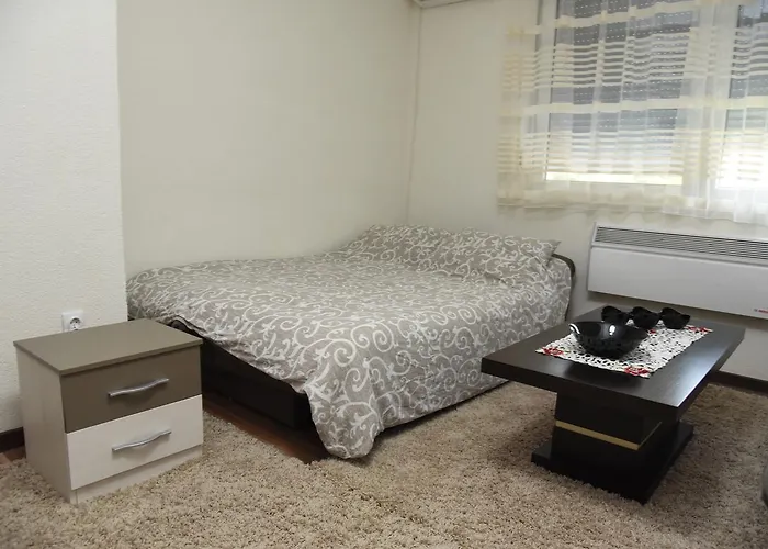 Sofronic 1 Apartament