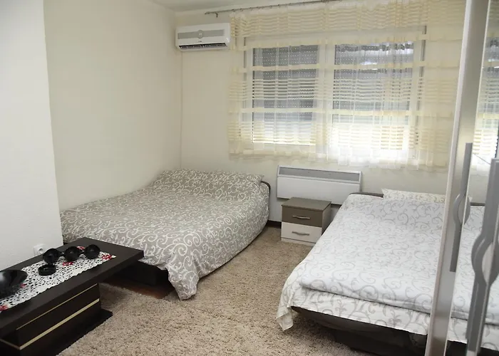 Sofronic 1 Apartament *